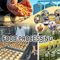 FOOD PROCESSING